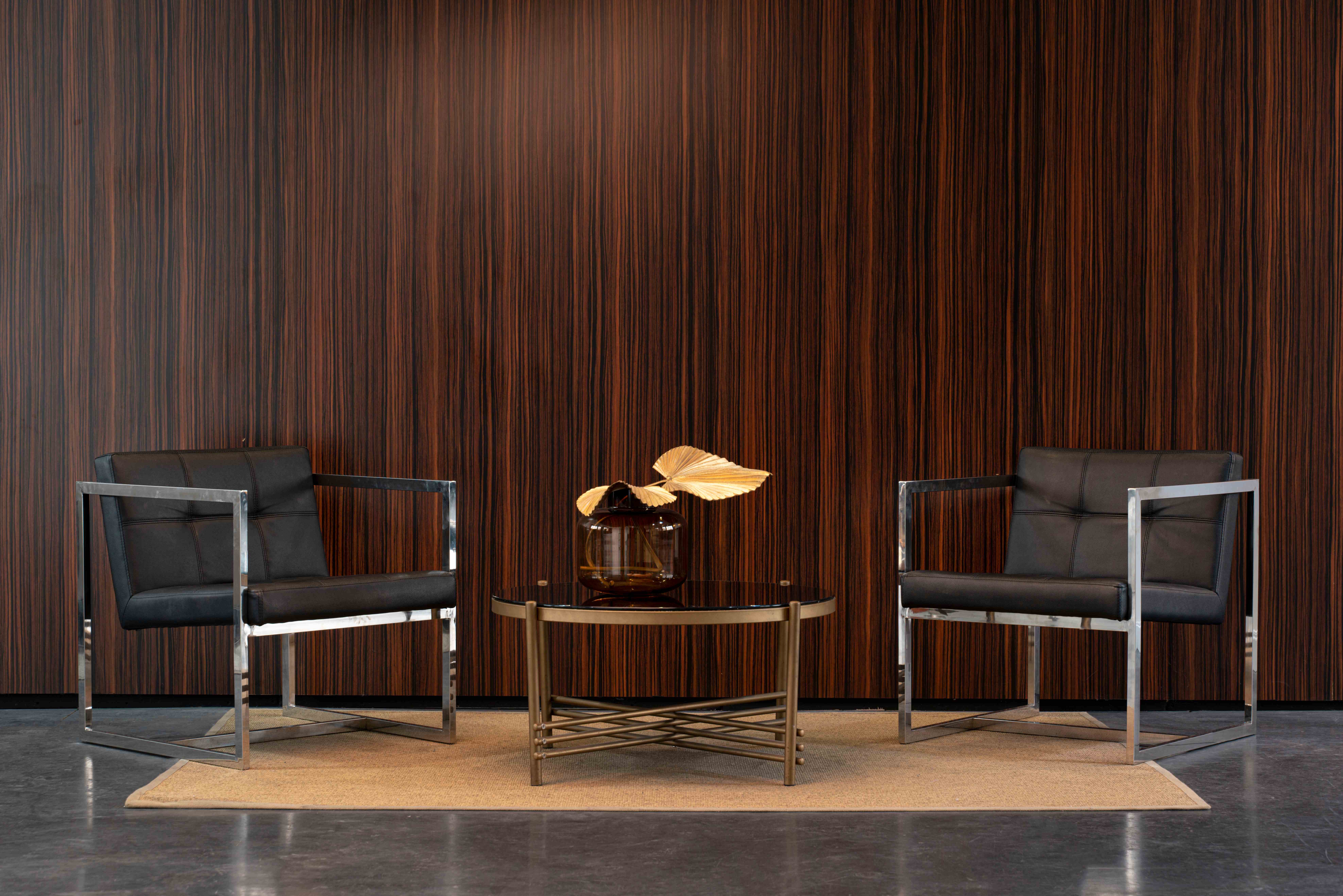 Luxury Modern Interior with Wood Paneling